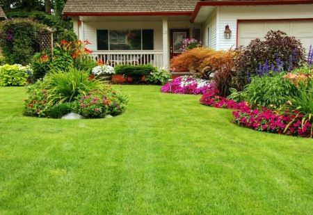 L'entretien de jardin : astuces pour des haies et gazons parfaits