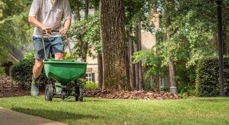 R&eacute;ussir l'engazonnement de son jardin avec les bons gestes